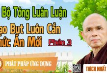 Dị Bộ Tông Luân Luận 03: Đạo Bụt Luôn Cần Thức Ăn Mới – Thích Nhất Hạnh di bo tong luan luan 03 dao but