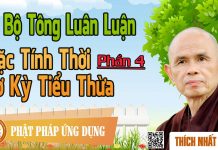 Dị Bộ Tông Luân Luận 04: Đặc Tính Thời Sơ Kỳ Tiểu Thừa – Thích Nhất Hạnh di bo tong luan luan 04 dac tinh