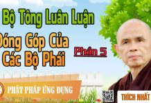 Dị Bộ Tông Luân Luận 05: Đóng Góp Của Các Bộ Phái – Thích Nhất Hạnh di bo tong luan luan 05 dong gop