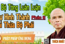 Dị Bộ Tông Luân Luận 06: Sự Hình Thành Đại Thừa Bộ Phái – Thích Nhất Hạnh di bo tong luan luan 06 su hinh