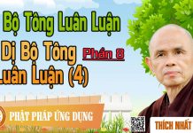 Dị Bộ Tông Luân Luận 08: Dị Bộ Tông Luân Luận (4) – Thích Nhất Hạnh di bo tong luan luan 08 di bo to