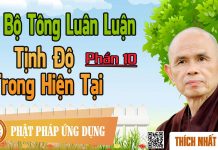 Dị Bộ Tông Luân Luận 10: Tịnh Độ Trong Hiện Tại – Thích Nhất Hạnh di bo tong luan luan 10 tinh do