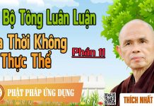 Dị Bộ Tông Luân Luận 11: Dị Bộ Tông Luân Luận (6): Ba Thời Không Thực Thể – Thích Nhất Hạnh di bo tong luan luan 11 di bo to