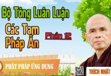 Dị Bộ Tông Luân Luận 12: Dị Bộ Tông Luân Luận (7): Các Tam Pháp ấn – Thích Nhất Hạnh di bo tong luan luan 12 di bo to