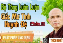 Dị Bộ Tông Luân Luận 15: Dị Bộ Tông Luân Luận (8): Giấc Mơ Tình Huynh Đệ – Thích Nhất Hạnh di bo tong luan luan 15 di bo to
