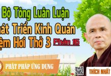 Dị Bộ Tông Luân Luận 16: Phát Triển Kinh Quán Niệm Hơi Thở 3 – Thích Nhất Hạnh di bo tong luan luan 16 phat tri