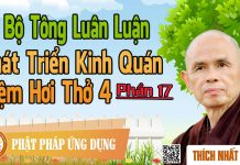 Dị Bộ Tông Luân Luận 17: Phát Triển Kinh Quán Niệm Hơi Thở 4 – Thích Nhất Hạnh di bo tong luan luan 17 phat tri