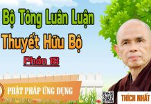Dị Bộ Tông Luân Luận 18: Dị Bộ Tông Luân Luận (11): Thuyết Hữu Bộ – Thích Nhất Hạnh di bo tong luan luan 18 di bo to