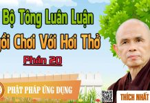 Dị Bộ Tông Luân Luận 20: Dị Bộ Tông Luân Luận (13): Ngồi Chơi Với Hơi Thở – Thích Nhất Hạnh di bo tong luan luan 20 di bo to