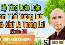 Dị Bộ Tông Luân Luận 22: Tam Thời Tương Tức – Quá Khứ Là Tương Lai – Thích Nhất Hạnh di bo tong luan luan 22 tam thoi
