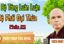 Dị Bộ Tông Luân Luận 25: Dị Bộ Tông Luân Luận (16): Bộ Phái Đại Thừa – Thích Nhất Hạnh di bo tong luan luan 25 di bo to