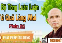 Dị Bộ Tông Luân Luận 26: Tứ Quả Làng Mai – Thích Nhất Hạnh di bo tong luan luan 26 tu qua l