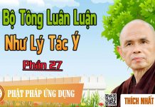 Dị Bộ Tông Luân Luận 27: Như Lý Tác Ý – Thích Nhất Hạnh di bo tong luan luan 27 nhu ly t