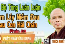 Dị Bộ Tông Luân Luận 28: Ôm Lấy Niềm Đau Sau Cơn Hải Chấn – Thích Nhất Hạnh di bo tong luan luan 28 om lay n