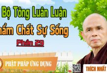 Dị Bộ Tông Luân Luận 29: Phẩm Chất Sự Sống – Thích Nhất Hạnh di bo tong luan luan 29 pham cha