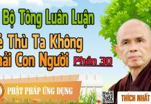 Dị Bộ Tông Luân Luận: Kẻ Thù Ta Không Phải Con Người – Thích Nhất Hạnh di bo tong luan luan ke thu ta k