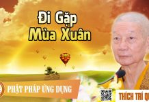 Đi Gặp Mùa Xuân – Thích Trí Quảng di gap mua xuan thich tri quang