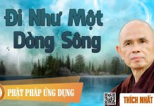 Đi Như Một Dòng Sông – Thích Nhất Hạnh di nhu mot dong song thich nhat