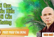 Đi Qua Cầu Hiểu Tới Cầu Thương – Thích Nhất Hạnh di qua cau hieu toi cau thuong t