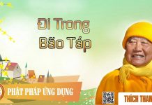 Đi Trong Bão Táp – Thích Thanh Từ di trong bao tap thich thanh tu