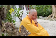 Đi Về Đâu – Thích Thiện Thuận di ve dau thich thien thuan