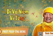 Dĩ Vô Niệm Vi Tông – Thích Thanh Từ di vo niem vi tong thich thanh t
