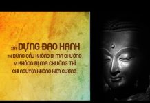 Đi Với Phật Với Ma (Vấn Đáp) – Thích Pháp Hòa di voi phat voi ma van dap thich