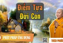 Điểm Tựa Đời Con – Thích Phước Tiến diem tua doi con thich phuoc tie