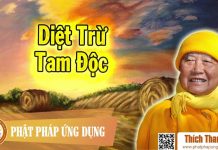 Diệt Trừ Tam Độc – Thích Thanh Từ diet tru tam doc thich thanh tu
