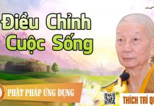 Điều Chỉnh Cuộc Sống – Thích Trí Quảng dieu chinh cuoc song thich tri q