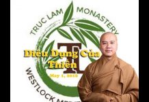 Diệu Dụng Của Thiền – Thích Pháp Hòa dieu dung cua thien thich phap h