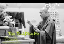 Diệu Dụng Thân Tâm – Thích Pháp Hòa dieu dung than tam thich phap ho