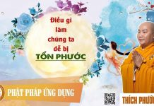 Điều Gì Làm Chúng Ta Dễ Bị Tổn Phước (KT 100) – Thích Phước Tiến dieu gi lam chung ta de bi ton p