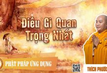 Điều Gì Quan Trọng Nhất – Thích Phước Tiến dieu gi quan trong nhat thich ph