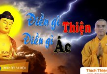 Điều Gì Thiện, Điều Gì Ác – Thích Thiện Tuệ dieu gi thien dieu gi ac thich t