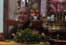 Diệu Nghĩa Bồ Đề – Thích Pháp Hòa dieu nghia bo de thich phap hoa
