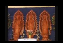 Diệu Pháp Liên Hoa Kinh Phẩm Tựa – Thích Tâm Đức dieu phap lien hoa kinh pham tua