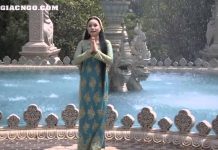 Diệu Pháp Liên Hoa – Ngân Huệ dieu phap lien hoa ngan hue