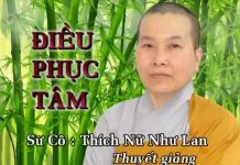 Điều Phục Tâm – Thích Nữ Như Lan dieu phuc tam thich nu nhu lan