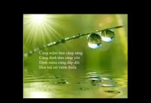 Định Niệm Trong Đời Sống – Thích Minh Niệm dinh niem trong doi song thich m