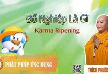 Đổ Nghiệp Là Gì English Subtitle (Karma Ripening) – Thích Phước Tiến do nghiep la gi english subtitle