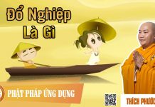 Đổ Nghiệp Là Gì – Thích Phước Tiến do nghiep la gi thich phuoc tien