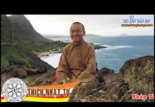 Đỗ nghiệp (Vấn đáp) – Thích Nhật Từ do nghiep van dap thich nhat tu