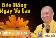 Đóa Hồng Ngày Vu Lan (KT20) – Thích Thiện Thuận doa hong ngay vu lan kt20 thich