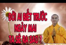 Đời Ai Biết Trước Ngày Mai Ta Sẽ Ra Sao – Thích Thiện Tuệ doi ai biet truoc ngay mai ta se