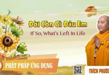 Đời Còn Gì Đâu Em (If So, What’s Left In Life) – Thích Phước Tiến doi con gi dau em if so whats le