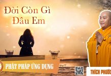 Đời Còn Gì Đâu Em (KT09) – Thích Phước Tiến doi con gi dau em kt09 thich phu