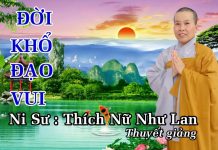 Đời Khổ Đạo Vui – Thích Nữ Như Lan doi kho dao vui thich nu nhu lan