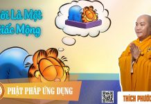 Đời Là Một Giấc Mộng (Life Is A Dream) – Thích Phước Tiến doi la mot giac mong life is a d