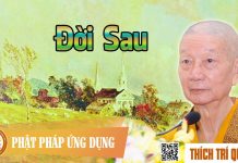 Đời Sau – Thích Trí Quảng doi sau thich tri quang